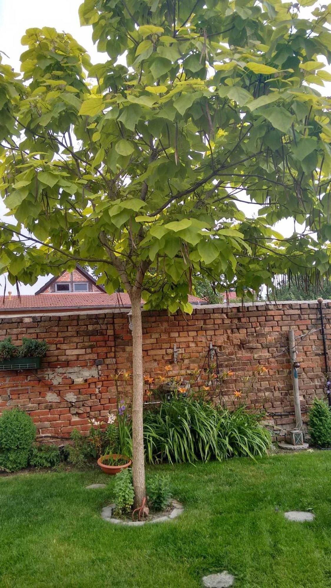 Ferienwohnungen Haus Leonore Stendal Εξωτερικό φωτογραφία