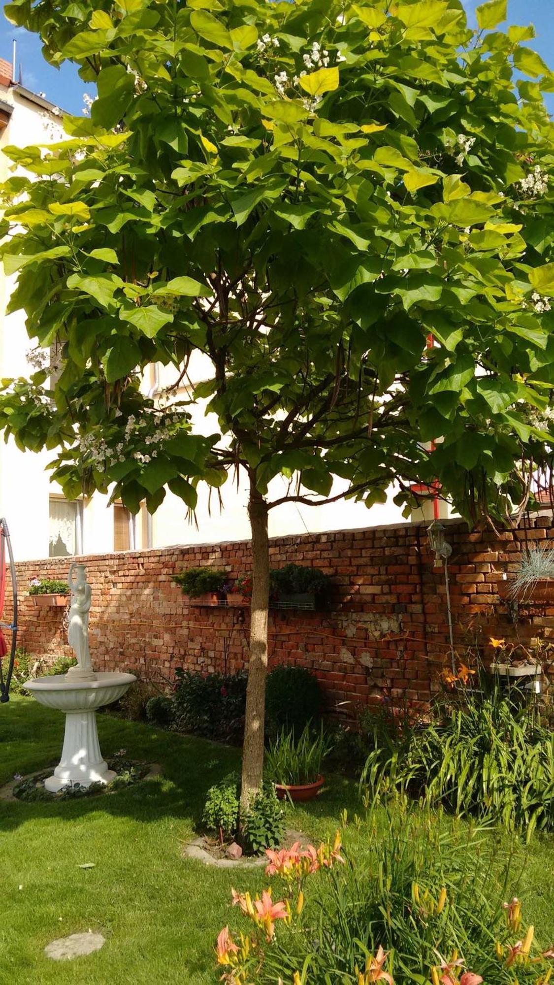 Ferienwohnungen Haus Leonore Stendal Εξωτερικό φωτογραφία